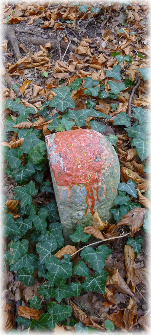 Naturpädagogik_Impressum naturpädagogik_moshammer_Impressum