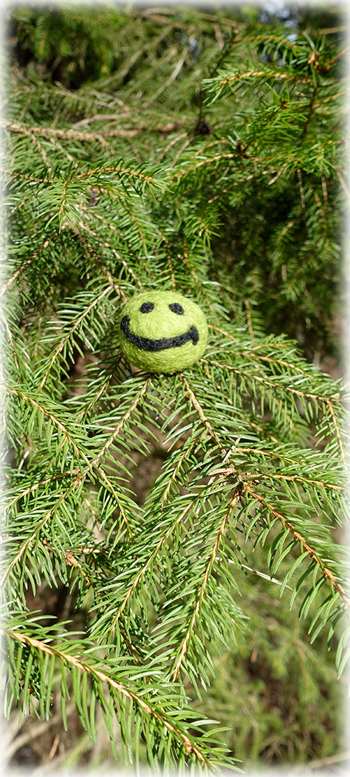 Naturpädagogik_grünluftzeit naturpädagogik_moshammer_grünluftzeit