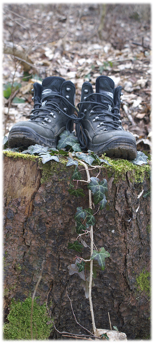 Naturpädagogik_Termine naturpädagogik_moshammer_Termine