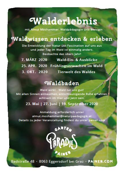 Waldtermine Painer 2020