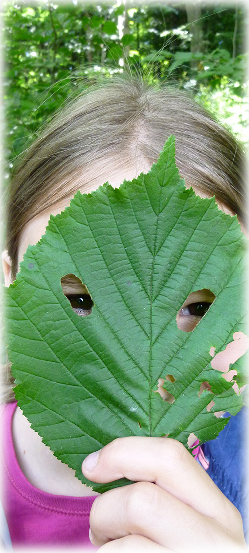 Naturpädagogik_natürlich spielen naturpädagogik_moshammer_natürlich spielen